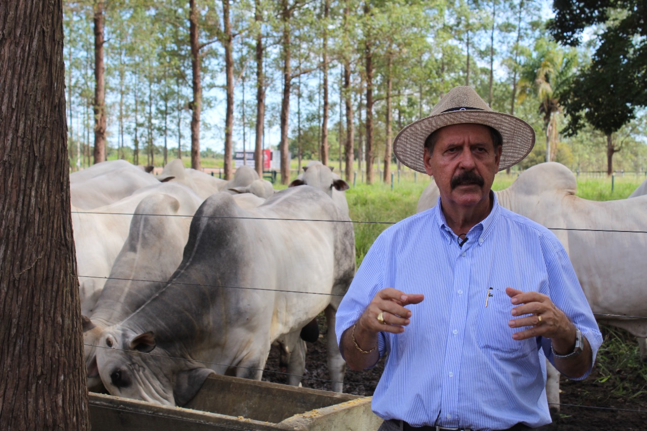 Visita técnica a Unitom (Cereja) - DES AGRO